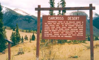 Carcross Desert