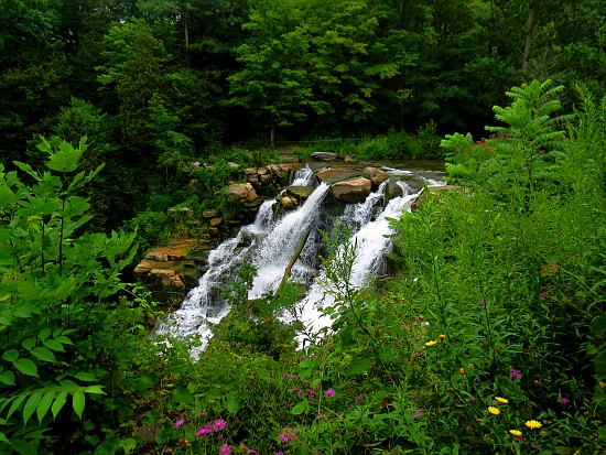 Chittenango Falls