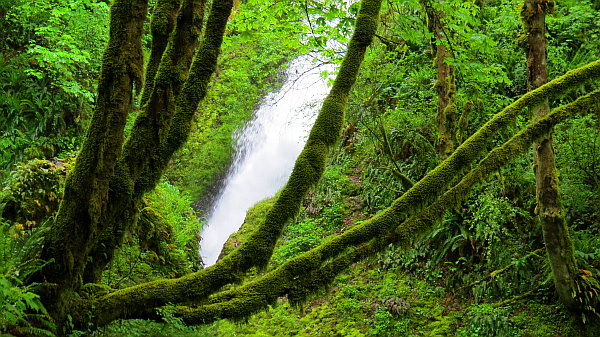 Bridal Veil Falls