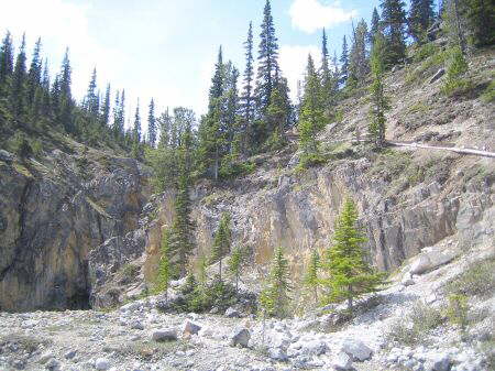 Bow Glacier Falls Trail