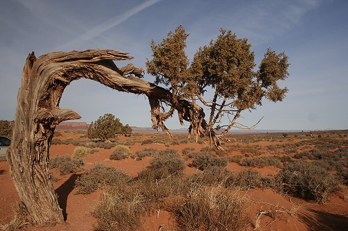 Monument Valley