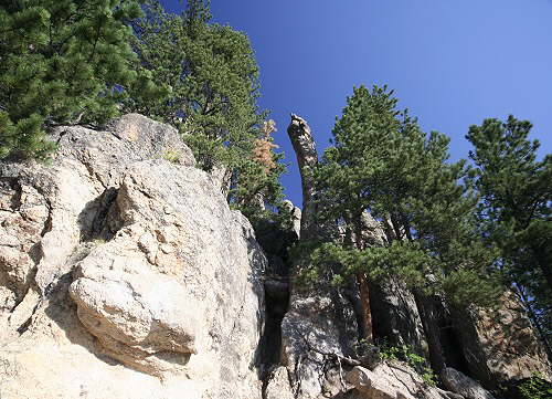 Custer State Park - Needles Highway