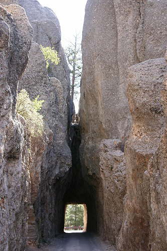 Custer State Park - Needles Highway