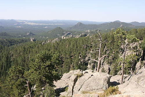 Custer State Park - Needles Highway