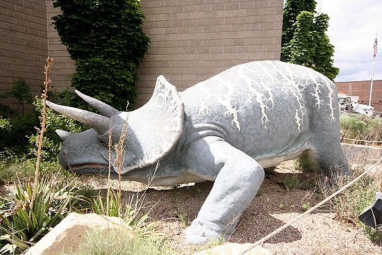 Triceratops