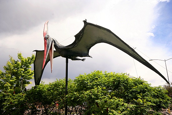 Pteranodon