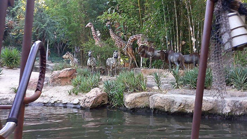 Jungle Cruise - Disneyland Anaheim