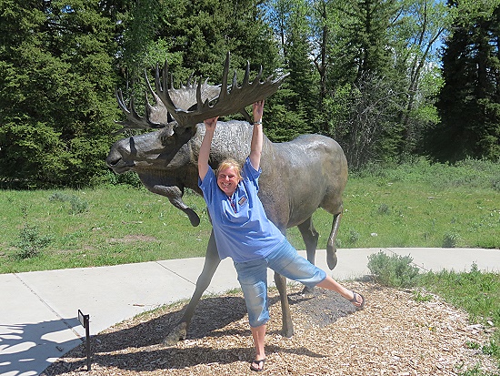 Grand Teton National Park Visitor Center - ein Elch und eine Uli