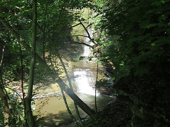 Deckertown Falls