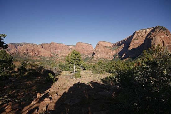 Timber Creek OVerlook Trail