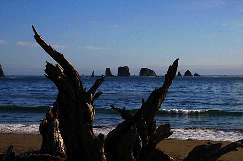 First Beach