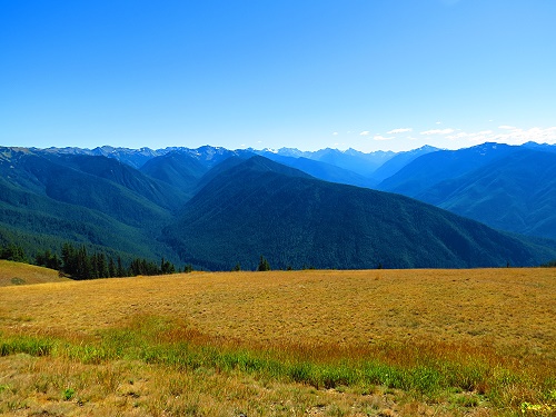 Hurricane Ridge