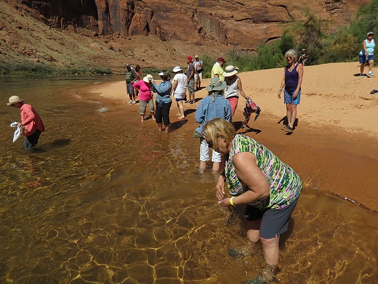 Colorado River Discovery