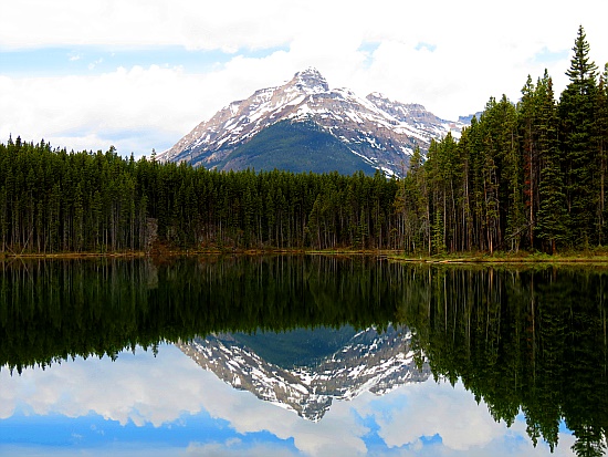 Herbert Lake