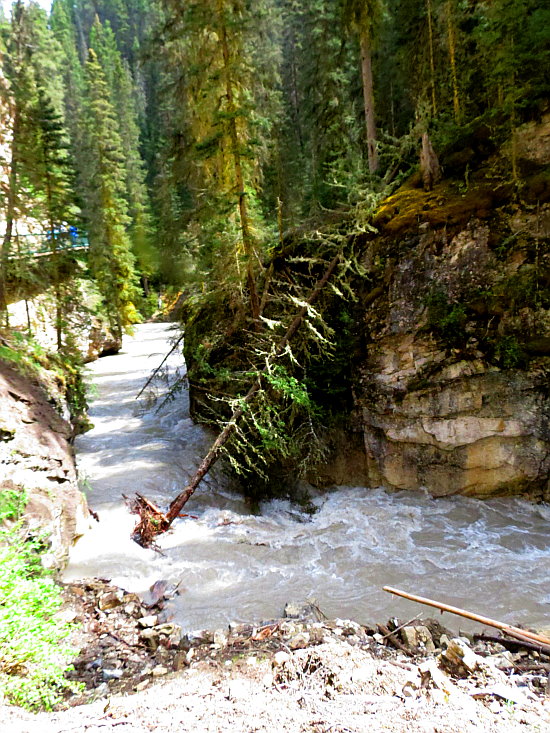 Johnston Canyon Trail