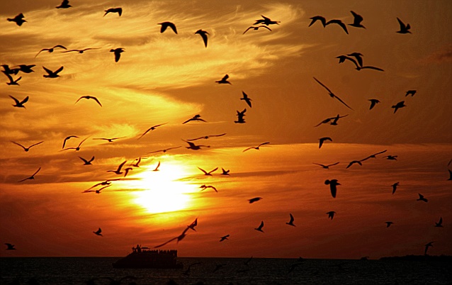 Sundown in Key West