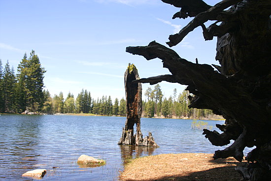 Manzanita Lake