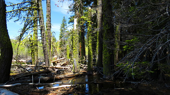 Manzanita Lake