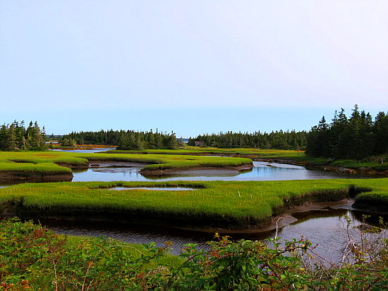 Cape Sable Island