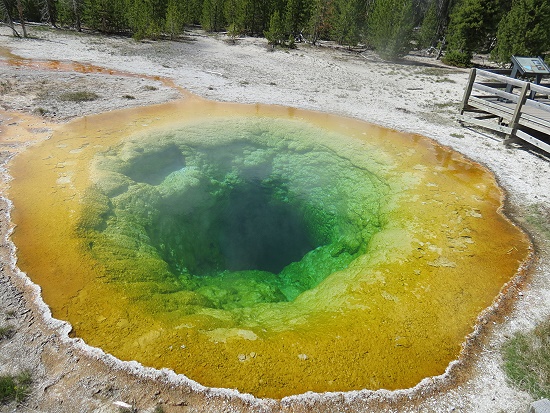 Morning Glory Pool