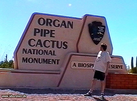 Organ Pipe Cactus National Monument