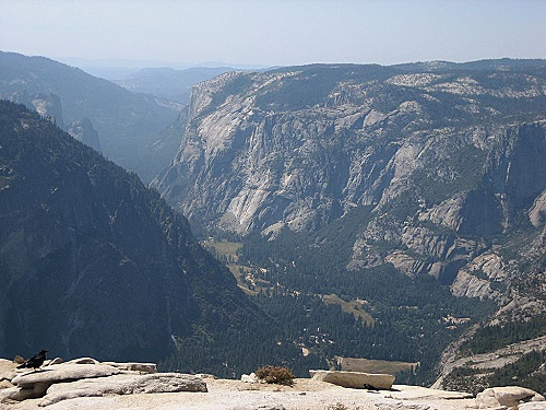 Half Dome Top