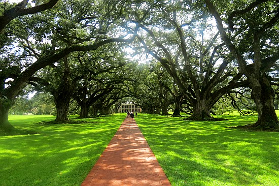 Oak Alley Plantation