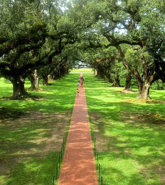 Oak Alley Plantation