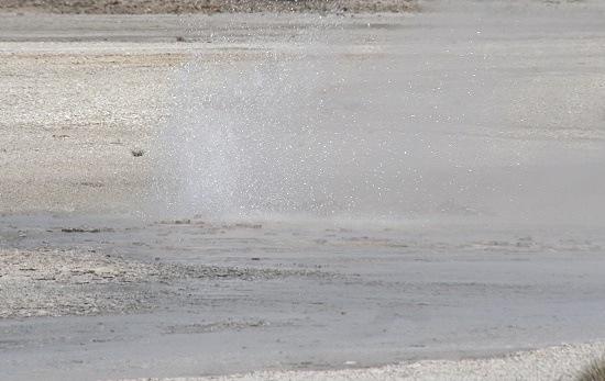 Ledge Geysir