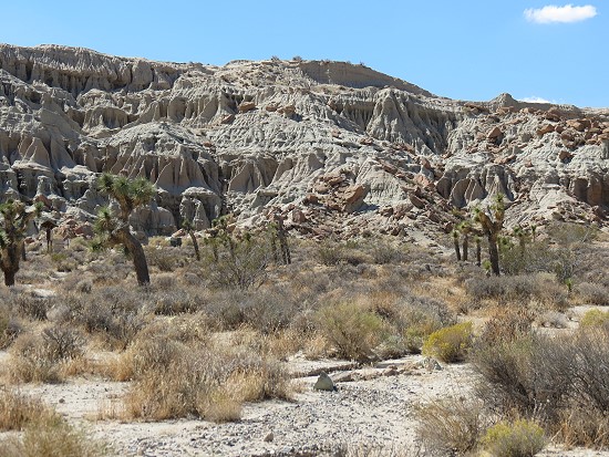 Red Rock Canyon State Park