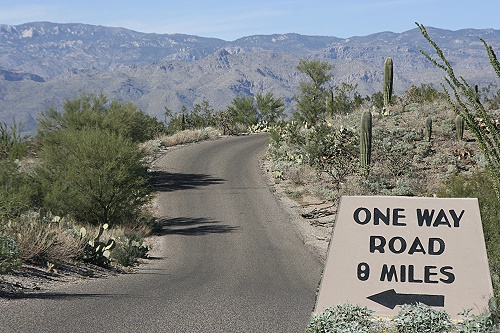 Saguaro National Park East