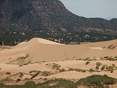 Coral Pink Sand Dunes