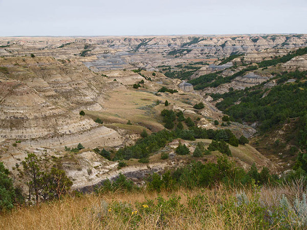 Theodore Roosevelt National Park