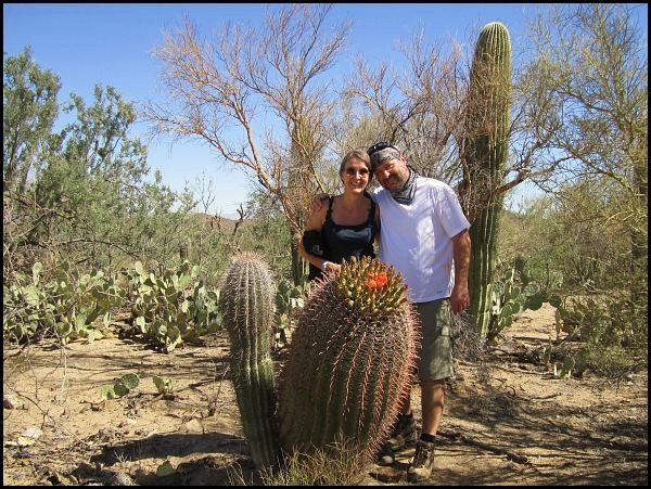 Saguaro National Park