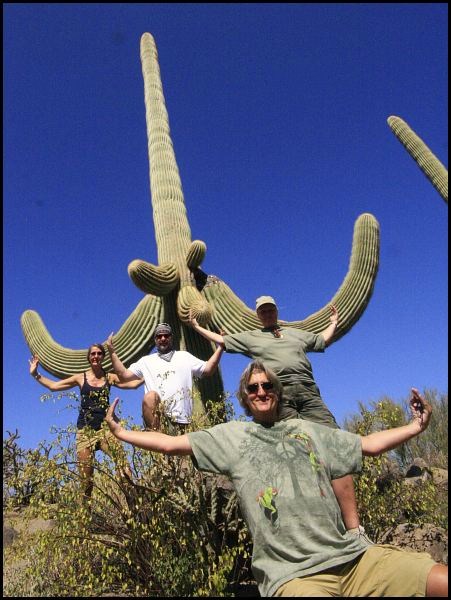 Saguaro National Park