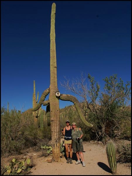 Saguaro National Park