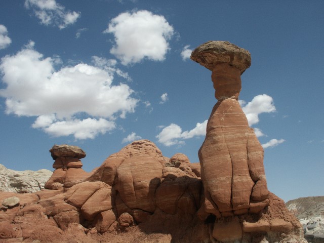 Toadstool Hoodoo