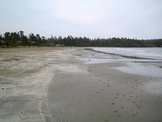 Tofino