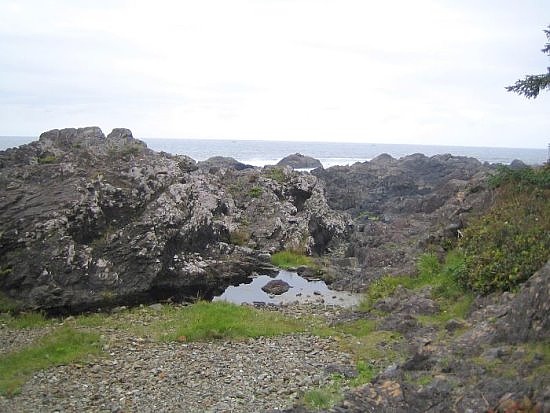 Tofino