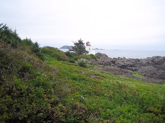 Tofino