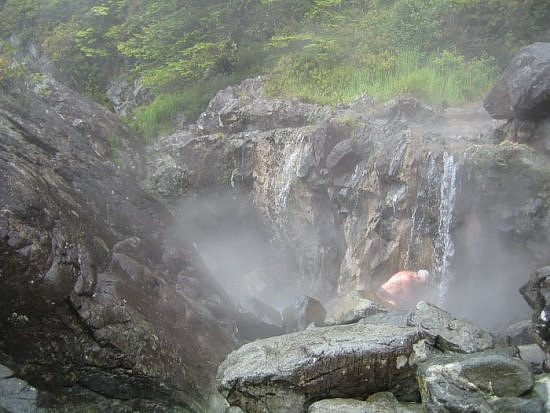 Tofino