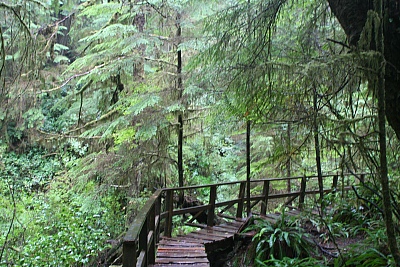 Schooner Cove - Tofino