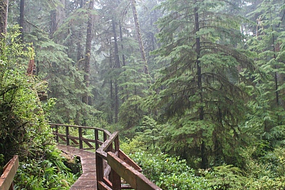 Schooner Cove - Tofino