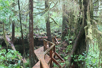 Schooner Cove - Tofino