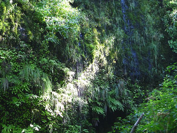 Weeping Rocks