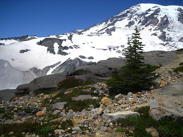 Mount Rainier