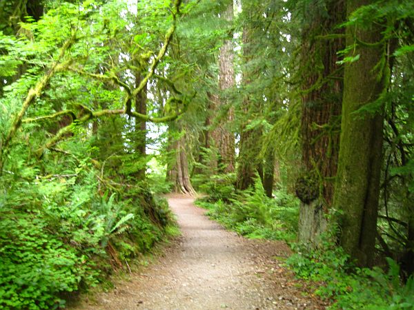 Olympic National Park