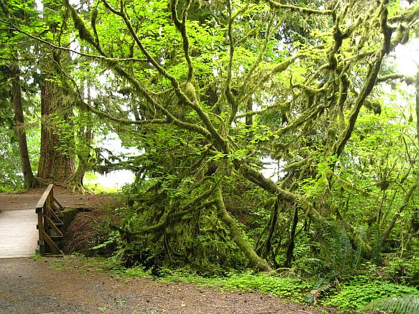 Olympic National Park