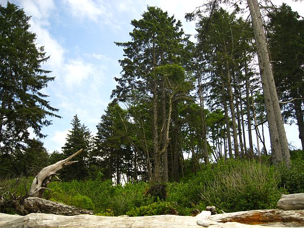 Ruby Beach