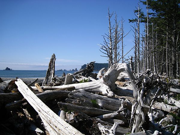 Rialto Beach